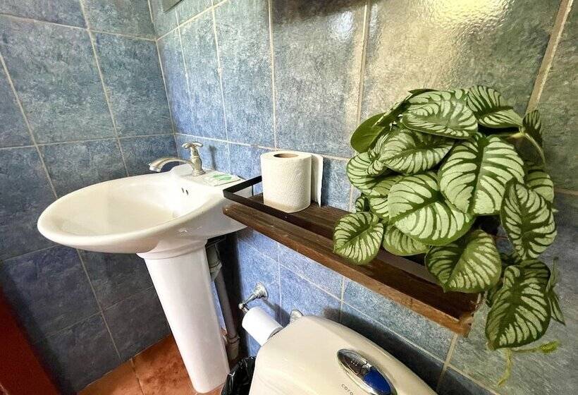 فندق Cabinas Brisa Del Mar