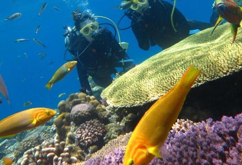 پانسیون Coco Resort Sesoko