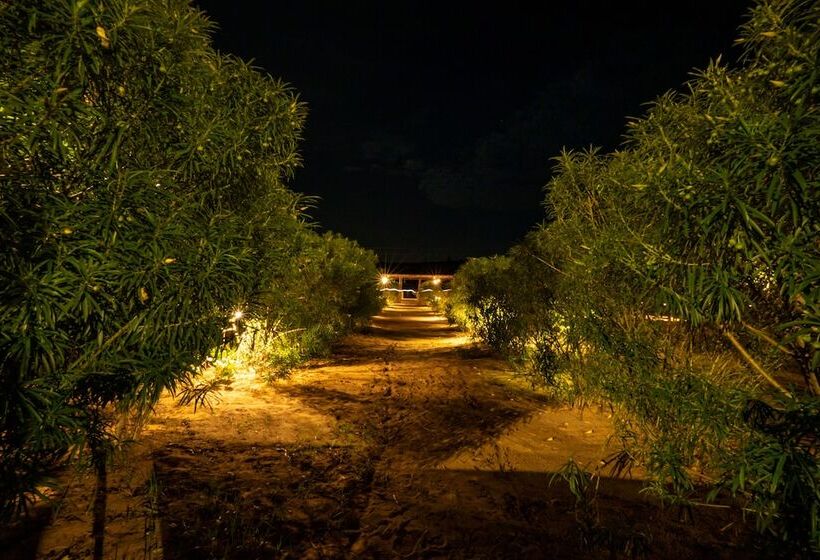 リゾートホテル Marvin Desert Camp