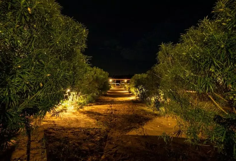 Resort Marvin Desert Camp