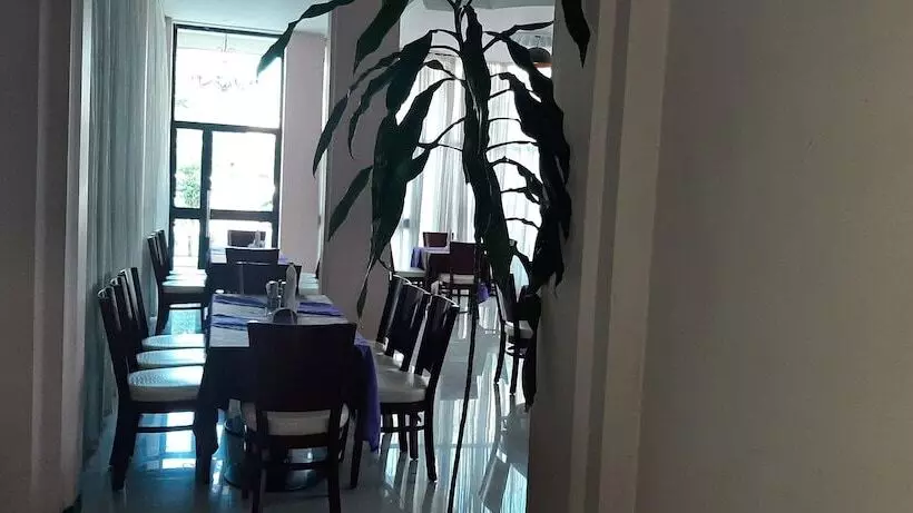 هتل Abay International