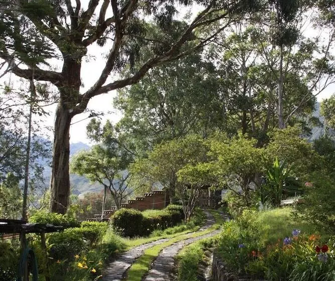 ホテル Alma Nativa