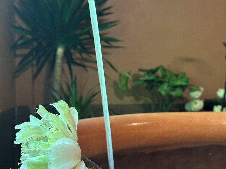 هتل Lalita Tam Coc Resort & Spa