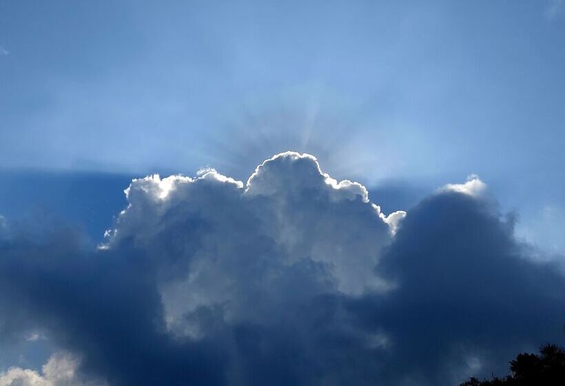 Отель Oren Kasauli