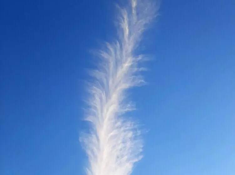 ホテル Oren Kasauli