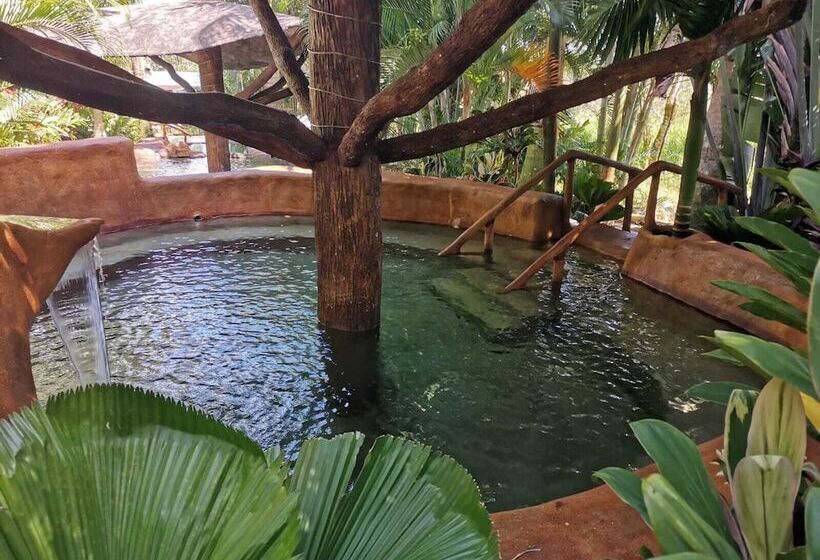 هتل Palmera Real Hot Springs