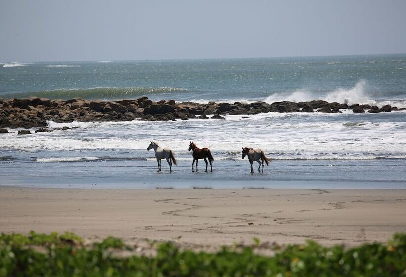 هتل Tapas And Surf