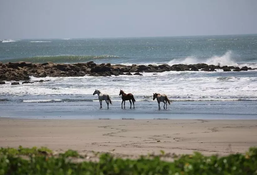 هتل Tapas And Surf