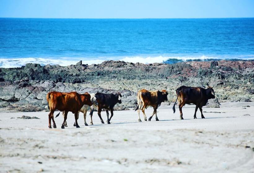 هتل Tapas And Surf