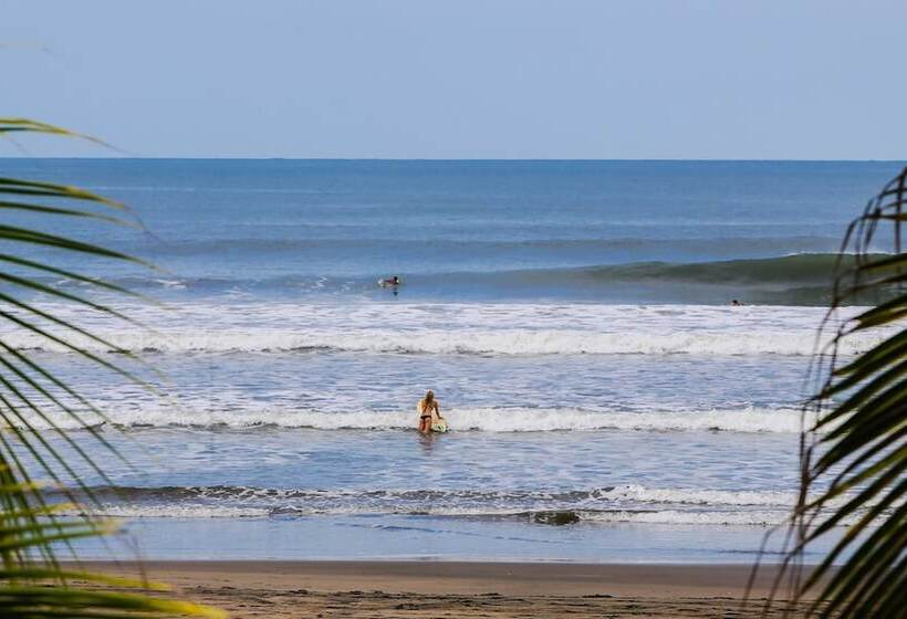 هتل Tapas And Surf