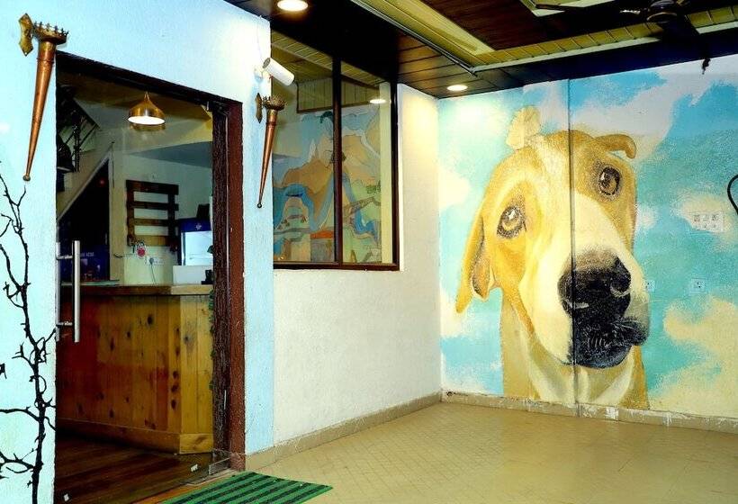 هتل The Mountain View