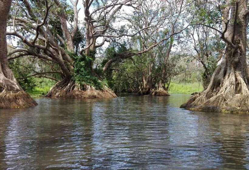هاستل Hostal Y Restaurante Rancho Merida
