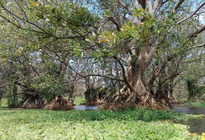 هاستل Hostal Y Restaurante Rancho Merida