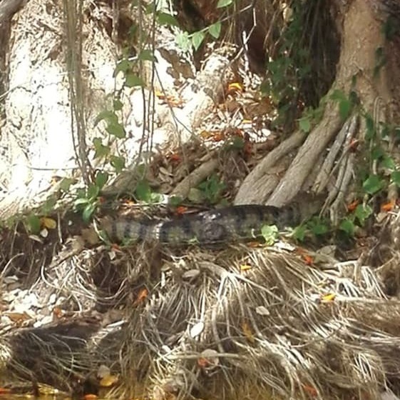 هاستل Hostal Y Restaurante Rancho Merida