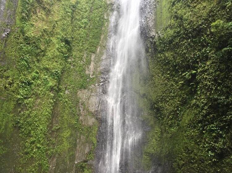 هاستل Hostal Y Restaurante Rancho Merida