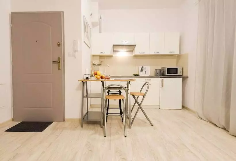 Shortstaypoland Srebrna   B36