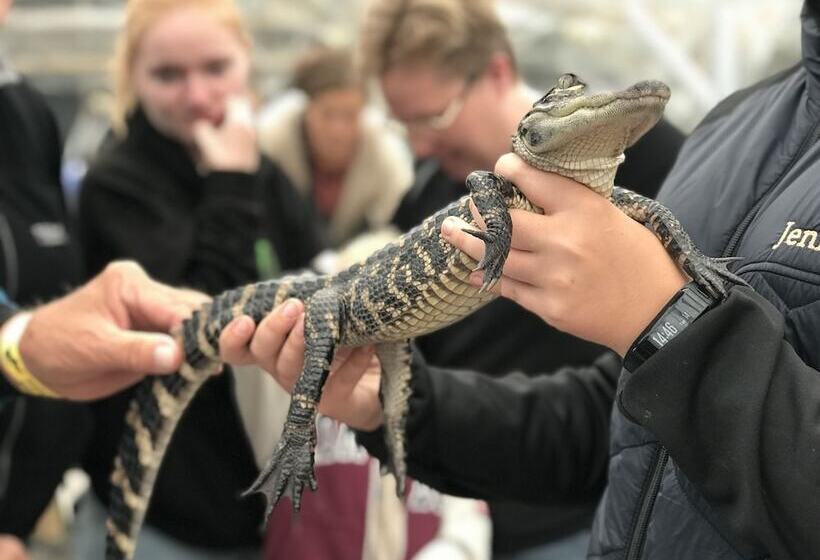 Anettes Bed & Breakfast Falster