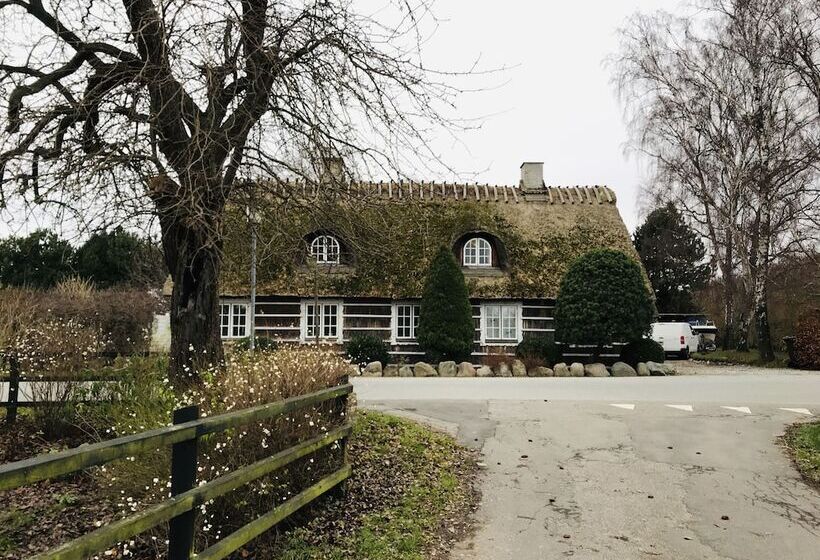 Anettes Bed & Breakfast Falster