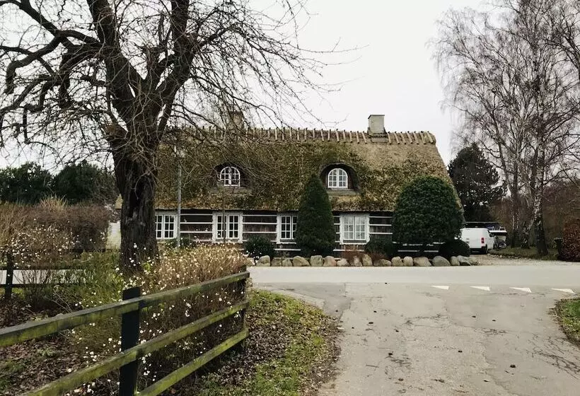 Anettes Bed & Breakfast Falster