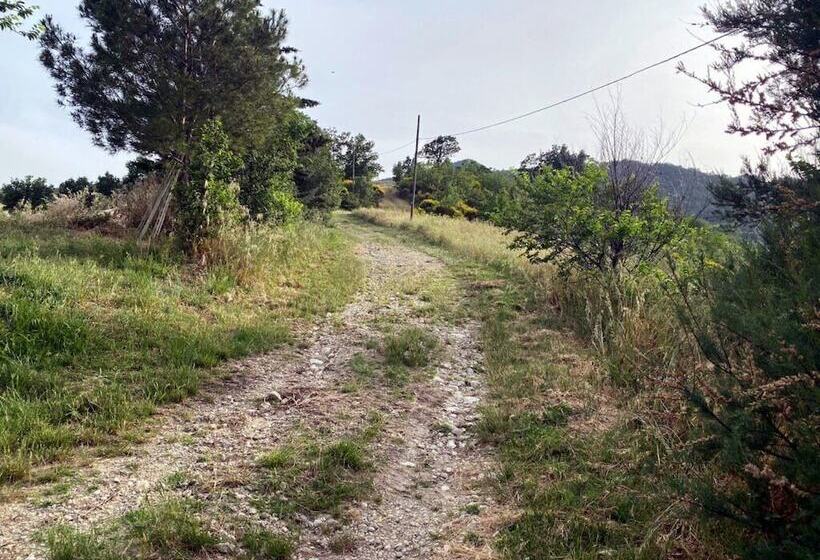 Пансион I 3 Falchi Bed & Breakfast