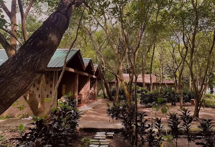 Lomakeskus Dancing Dugong