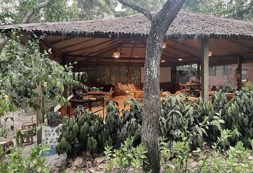 Lomakeskus Dancing Dugong