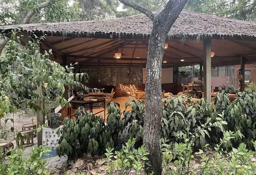 Lomakeskus Dancing Dugong
