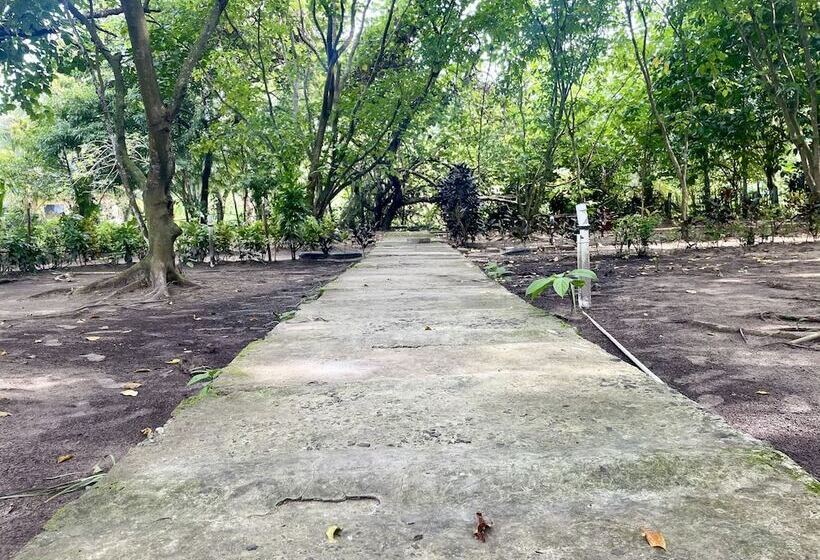 Lomakeskus Dancing Dugong