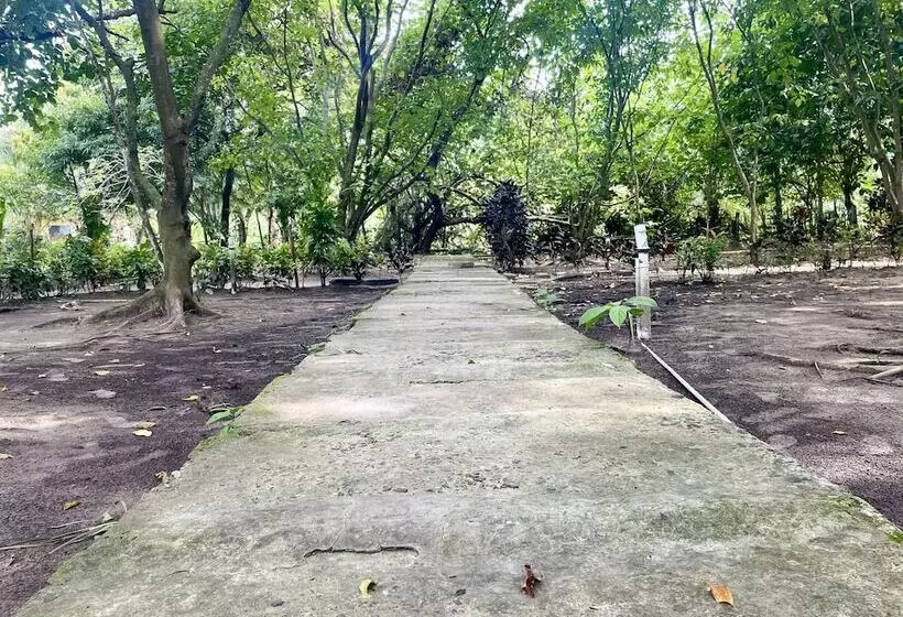 Lomakeskus Dancing Dugong