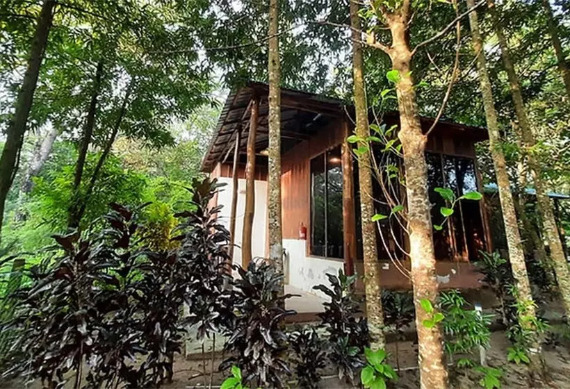 Lomakeskus Dancing Dugong