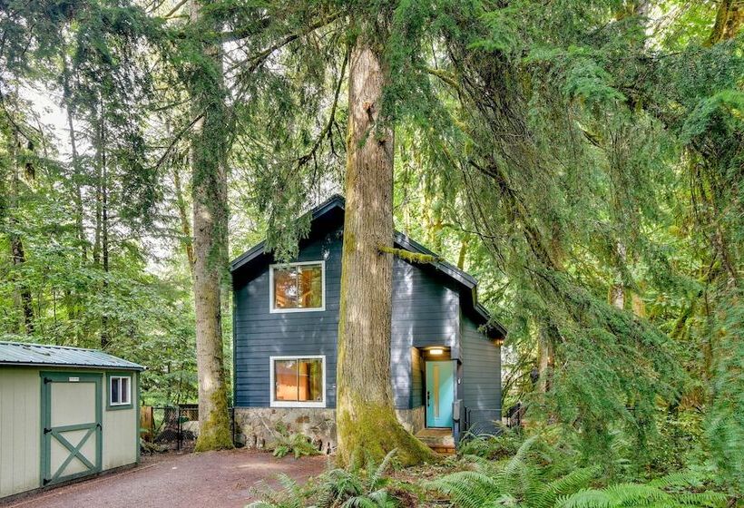 Rhododendron Creekside Cabin W/ Hot Tub & Fire Pit