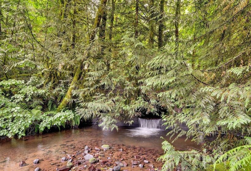 Rhododendron Creekside Cabin W/ Hot Tub & Fire Pit