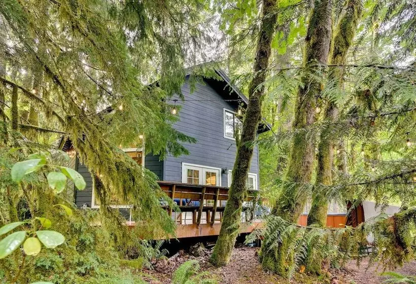 Rhododendron Creekside Cabin W/ Hot Tub & Fire Pit
