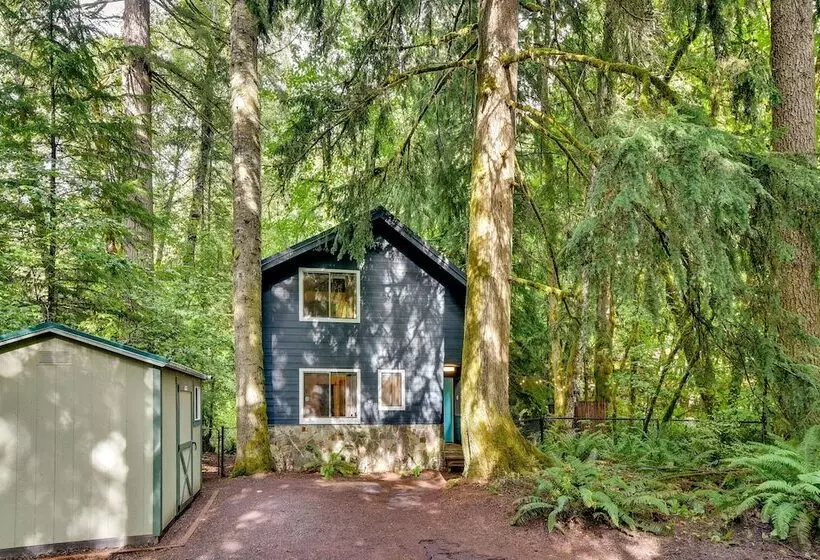 Rhododendron Creekside Cabin W/ Hot Tub & Fire Pit