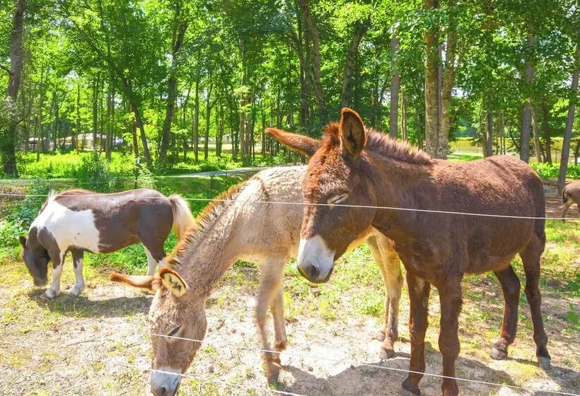 Waterfront Benson Retreat: Rescue Farm W/ A Lake!