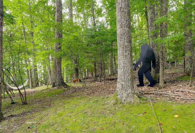 Deck, Fire Pit, & Grill: Beech Mountain Chalet