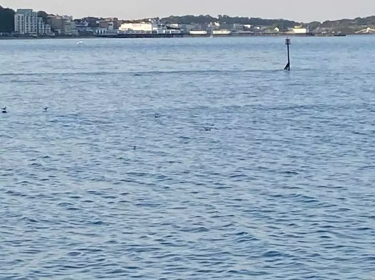 هتل 3 Bedroom Ensuite Caravan