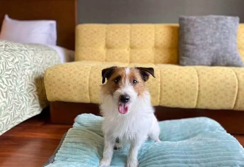 Hotelli Schones Heim Kaneyama