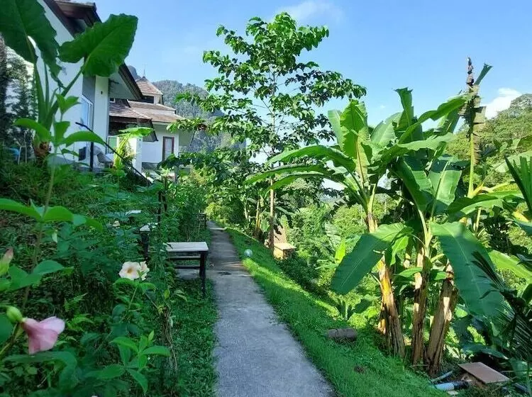 Magical Mountain View Resort