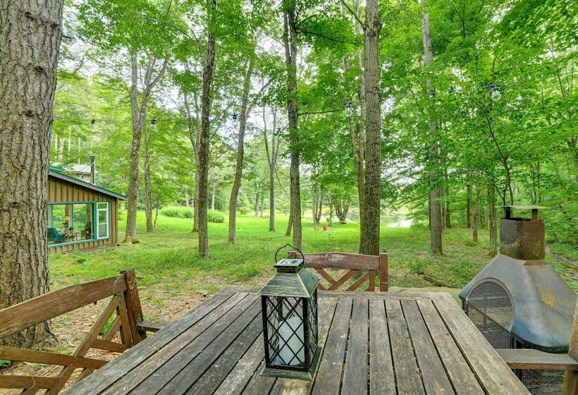 Secluded Upstate Ny Forest Cottage On 33 Acres!