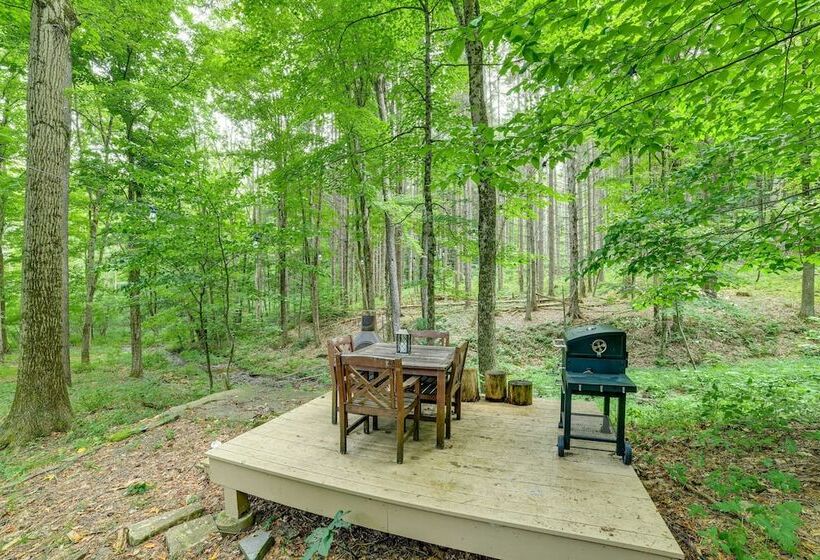 Secluded Upstate Ny Forest Cottage On 33 Acres!