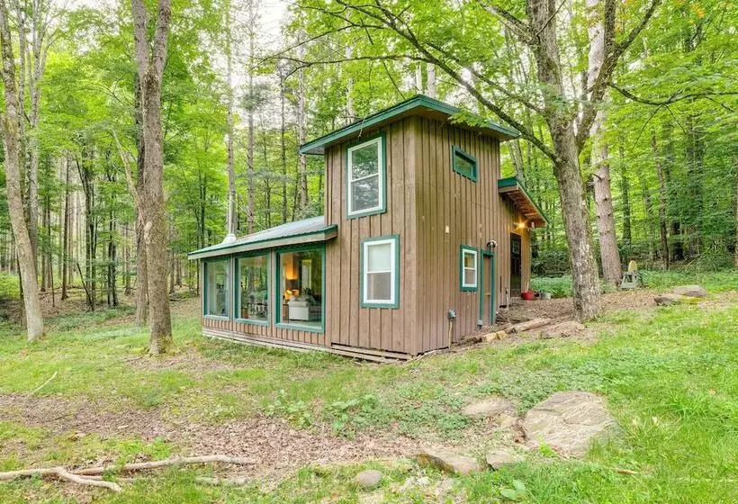Secluded Upstate Ny Forest Cottage On 33 Acres!