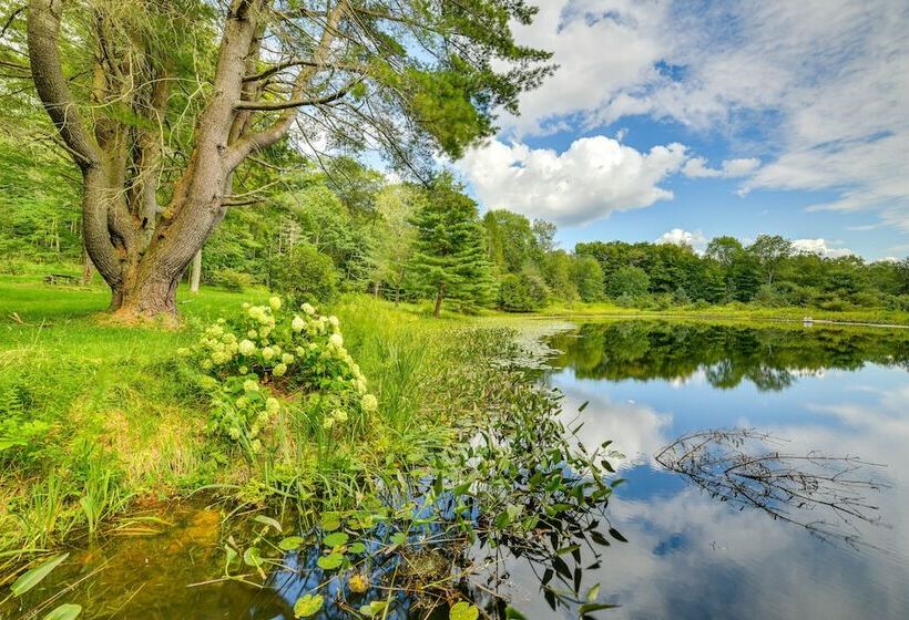 Secluded Upstate Ny Forest Cottage On 33 Acres!