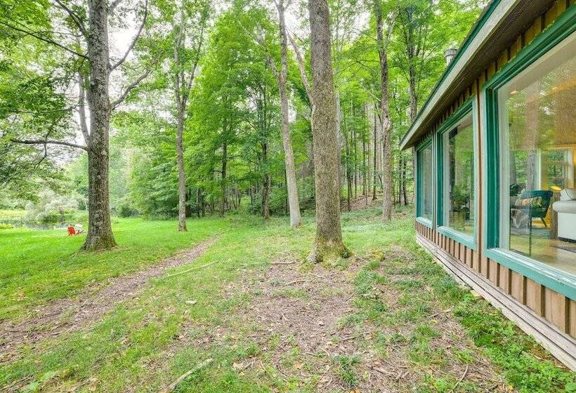 Secluded Upstate Ny Forest Cottage On 33 Acres!
