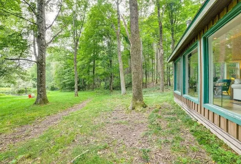 Secluded Upstate Ny Forest Cottage On 33 Acres!