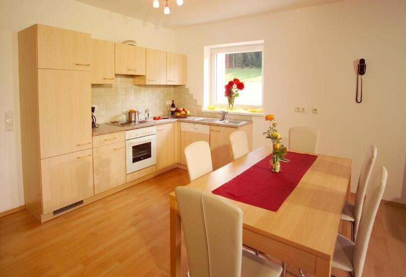 Отель Activ Wellness   Appartement Schermerhof