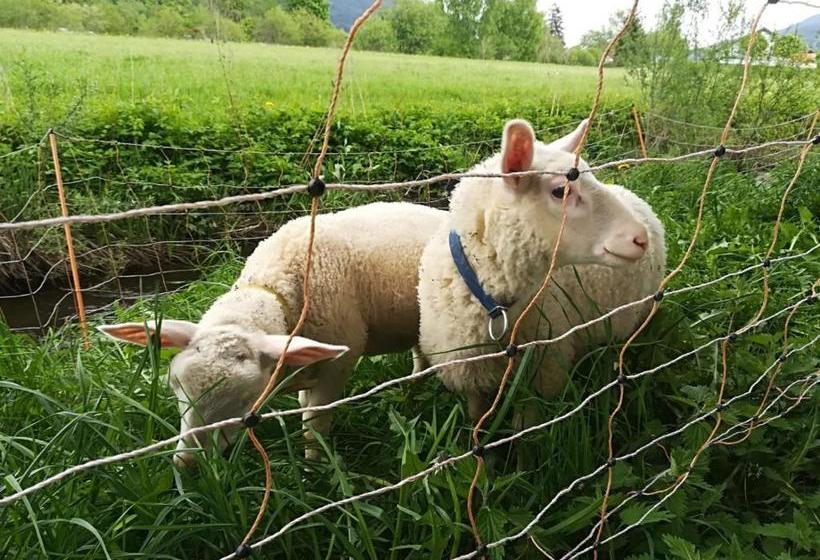 ホテル Bauernhof Biohof Sauschneider