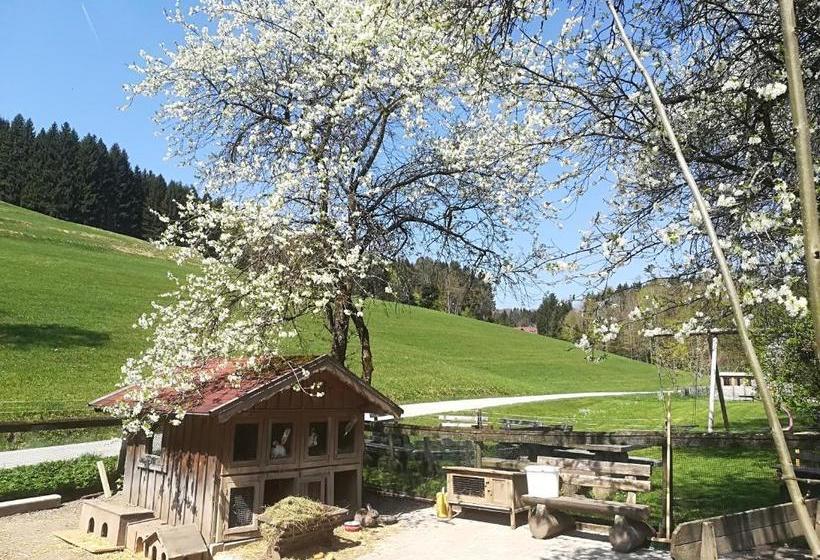 Отель Bauernhof Grubinger