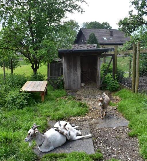 Отель Bauernhof Grubinger