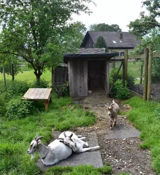 ホテル Bauernhof Grubinger